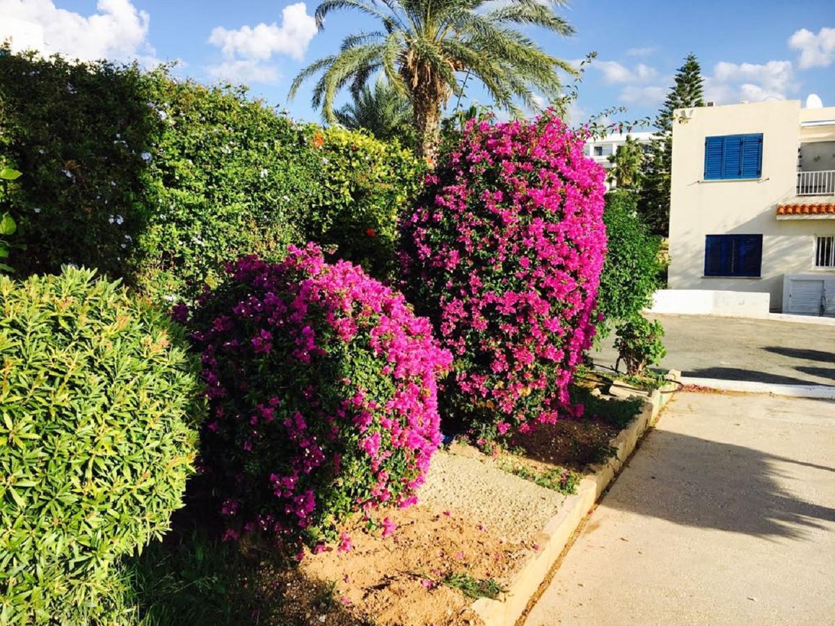 Townhouse Coral Bay Village Kissonerga Esterno foto